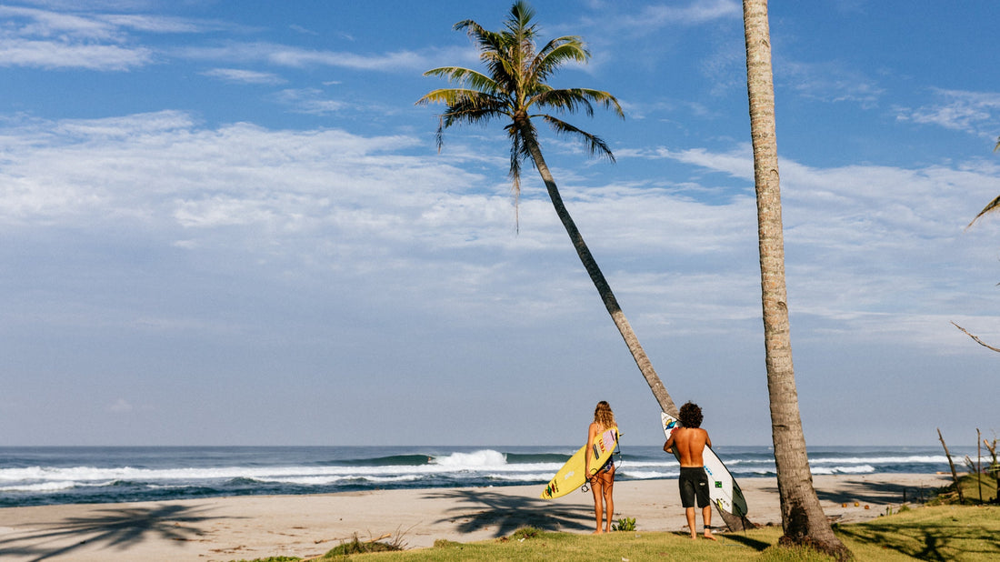 Stories From The Search