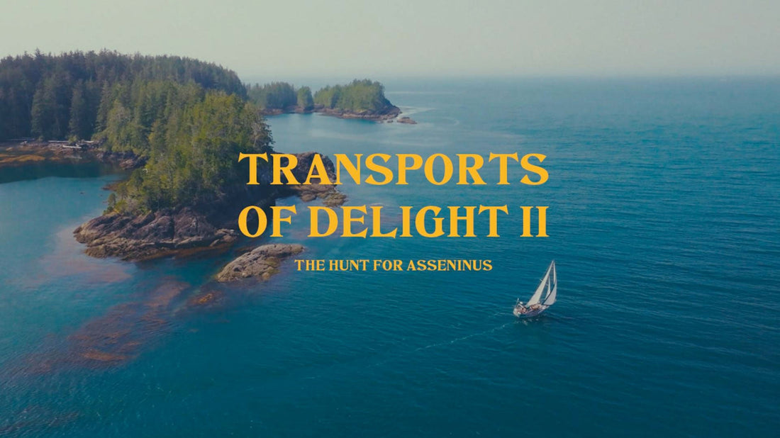 Transports of Delight 2 - Mathea Olin’s Latest Search Adventure
