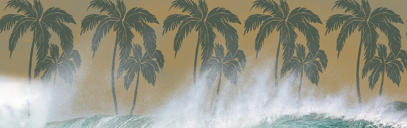 Mod Tropics