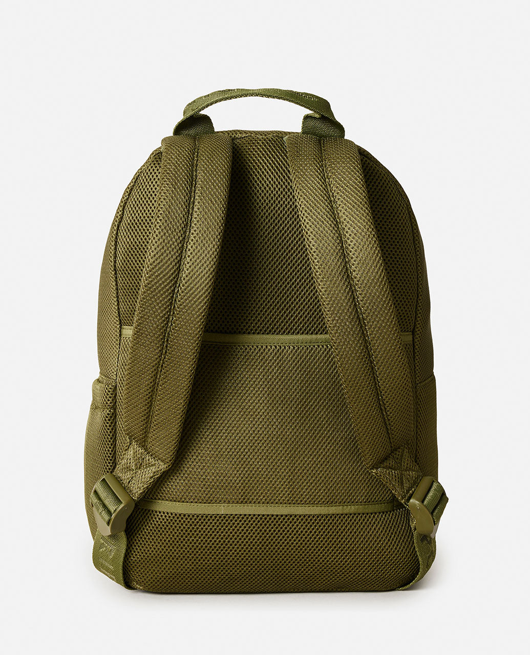 Olive-3