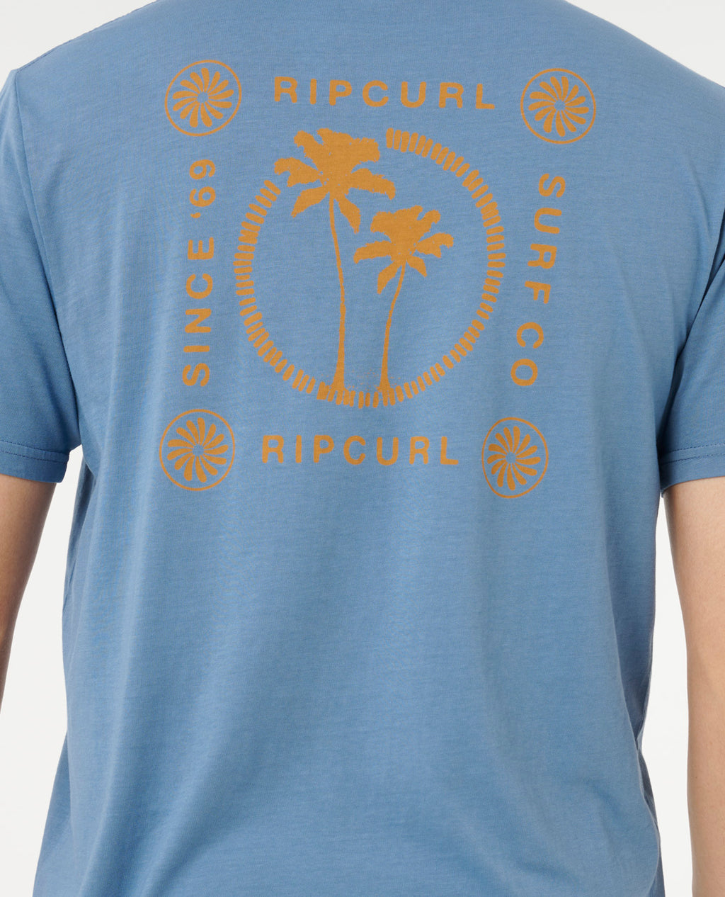 Bluefin-5
