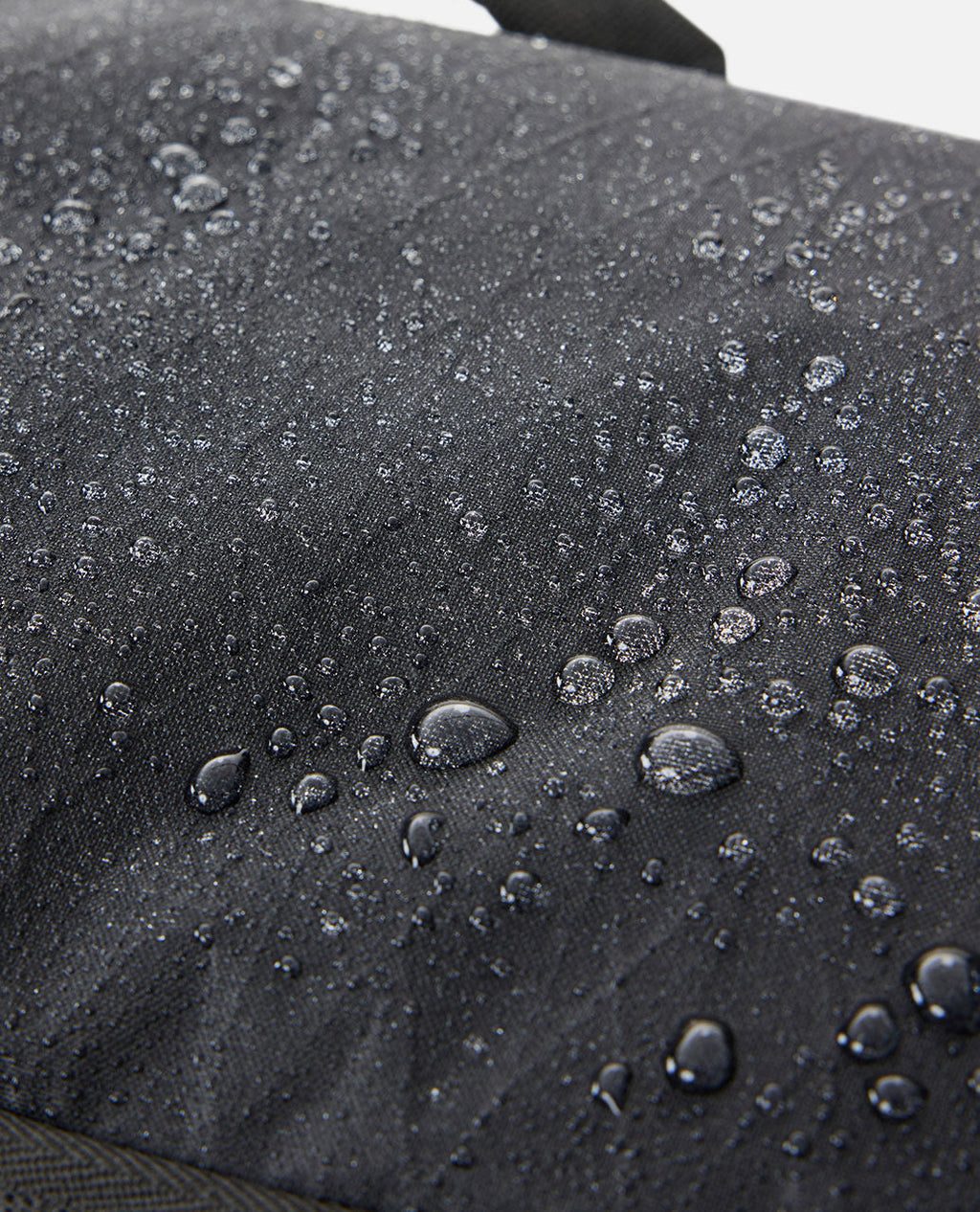 Jet Black-12