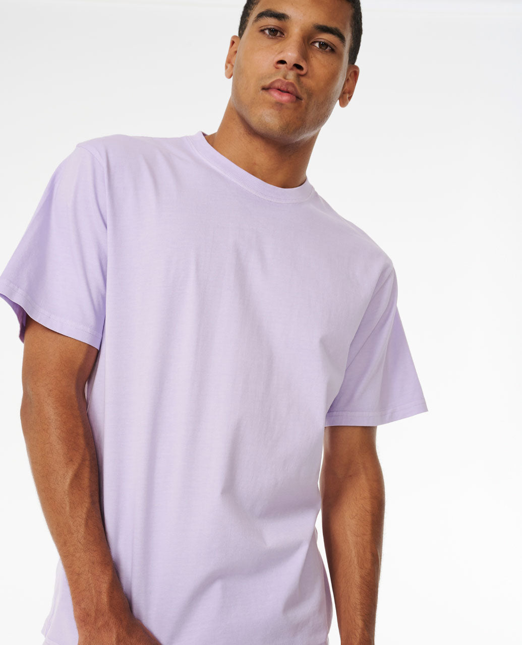 Lilac-6